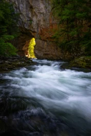 Fotografija vode, ki tečev Rakovem Škocjanu. V ozadju "tunel" skozi katerega priteče iz polja v jamo, ki se ji je udrl strop.